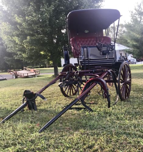 Amish Horse Carriage  ( Handmade Surrey )