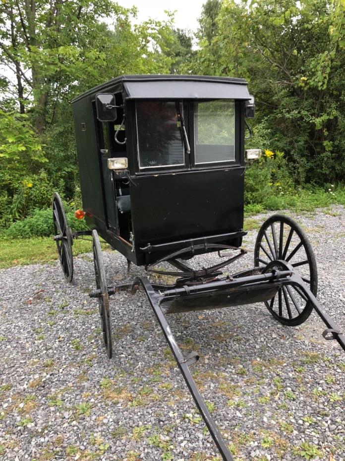 Authentic Horse drawn Mennonite Amish 2 seater buggy carriage