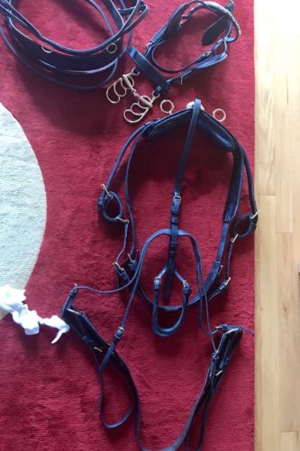 Smuckers Harness Horse Size 16 Hands More Or Less