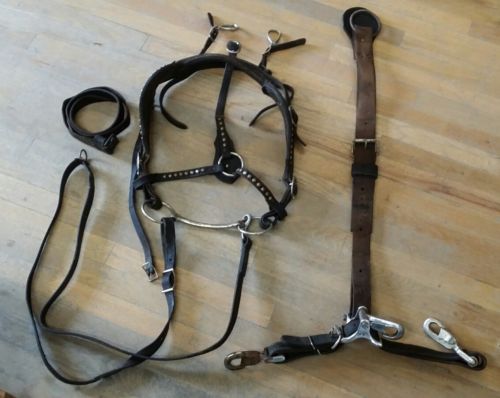 Vintage thick leather Draft horse blinder bridle & pole strap
