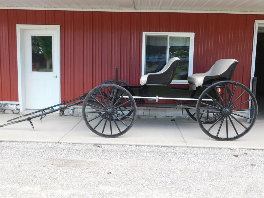 A Horse Drawn Surrey Amish Buggy Carriage Two Seat Amish Buggy W/Hyd.Brakes