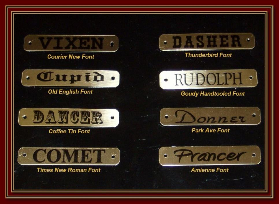 Horse Halter Brass Custom Name Plates Bridle Tags ID w Chicago Screws 5/8 x 3.5