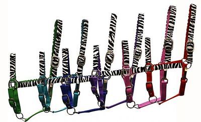 Showman Adjustable Nylon ZEBRA Horse Halter w/ Nickel Plated Hardware! FREE SHIP