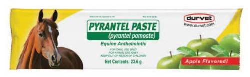Paste Horse Wormer  Durvet Pyrantel pamoate  (strongid paste) 23.2 g  Apple