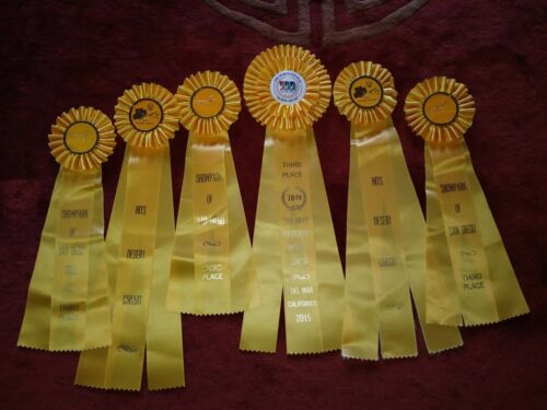 Lot of (6) Yellow Horse Show Ribbons, Equestrian Awards
