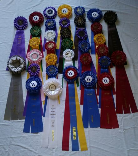 Championship Lot Of 35 Horse Show Ribbons Equestrian Awards