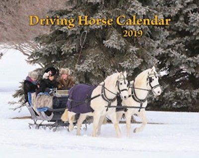 2019 Driving Horse Wall Calendar - Mischka Press