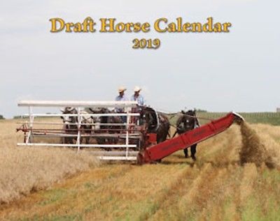 2019 Draft Horse Wall Calendar - Mischka Press