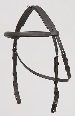 Zilco Hackamore Bridle with Short Cheekpieces and Lined Crown and Browband