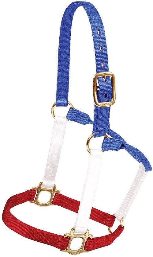 All American horse Halter/horse tack/BARRELL RACING/AMERICAN HORSE HALTER