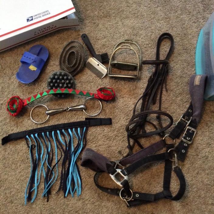 Horse Tack Lot