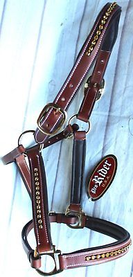 orse Riding Western English Brown Leather Halter Bling Brown Tack 927MT13P