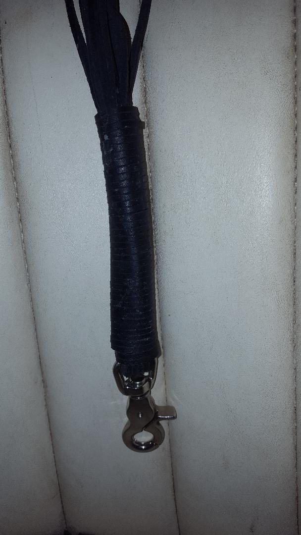 16 Strand Leather Whip ? / Flogger - Plaited Tail ?