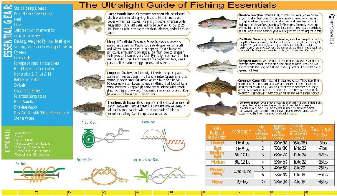 Ultralight Guide of Fishing Essentials