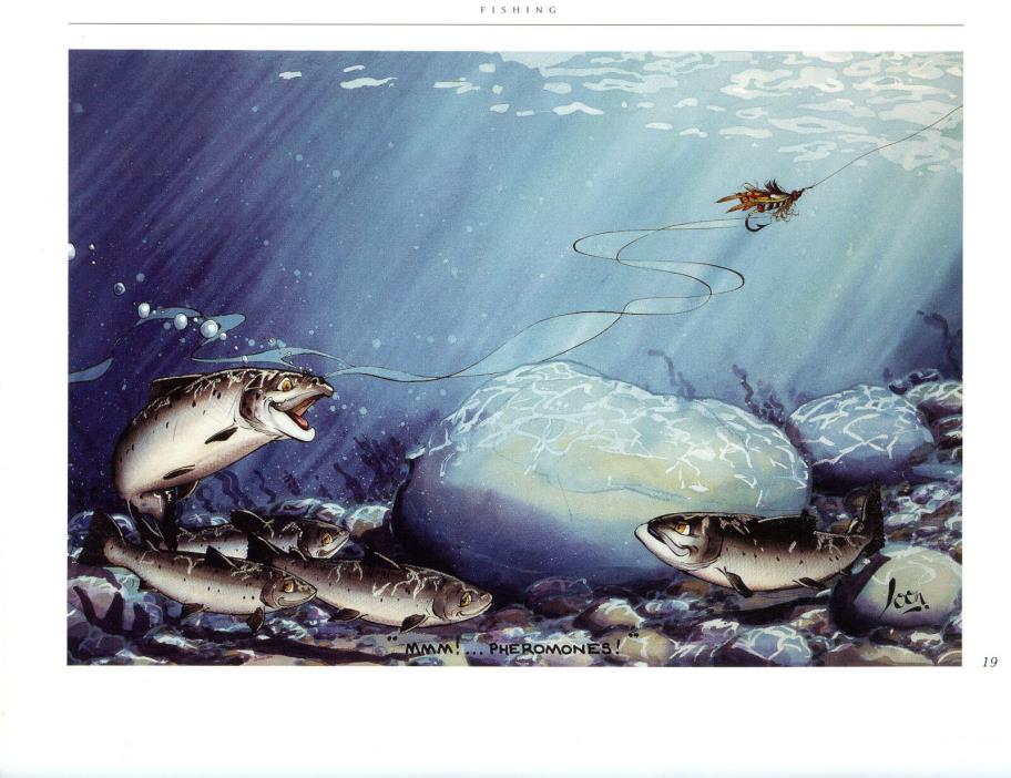 Fishing Parody MMM! . . . PHEROMONES! Art Print by Alastair Hilleary Wall Art 19