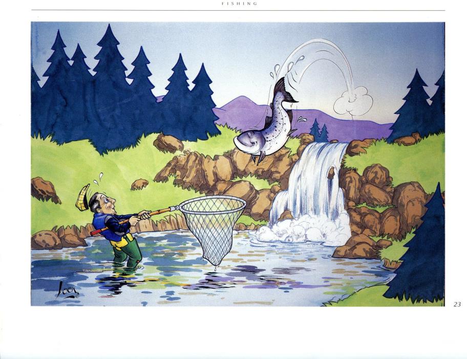 Fishing Parody A FINE CATCH Art Print Painted by Alastair Hilleary (Loon)23
