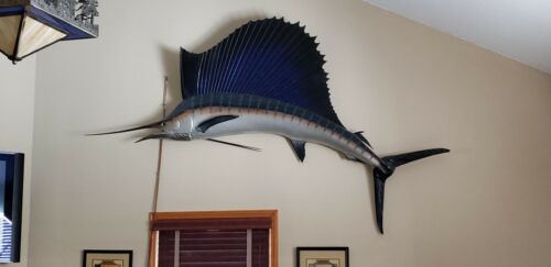 Vintage X-LARGE SAILFISH TAXIDERMY  marlin swordfish billfish. For local pick up