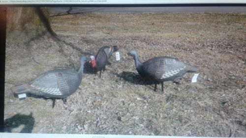 NEW- Lot Of 3 Turkey Thugs Mossy Oak Turkey Decoys-1 Jake & 2 Hens-Foam