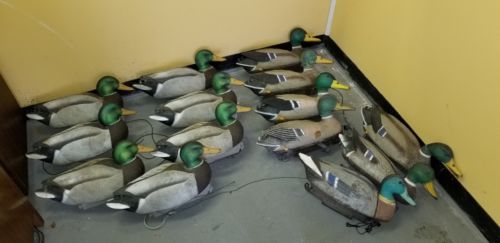 Lot of 14 duck decoy Pre Owned