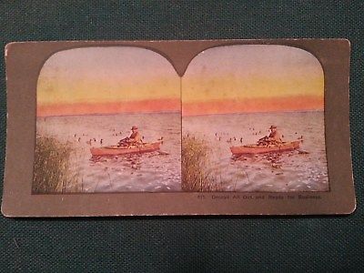 Decoys All Out and Ready Stereoscope - Vintage Duck Hunting T W. Ingersoll 1904?