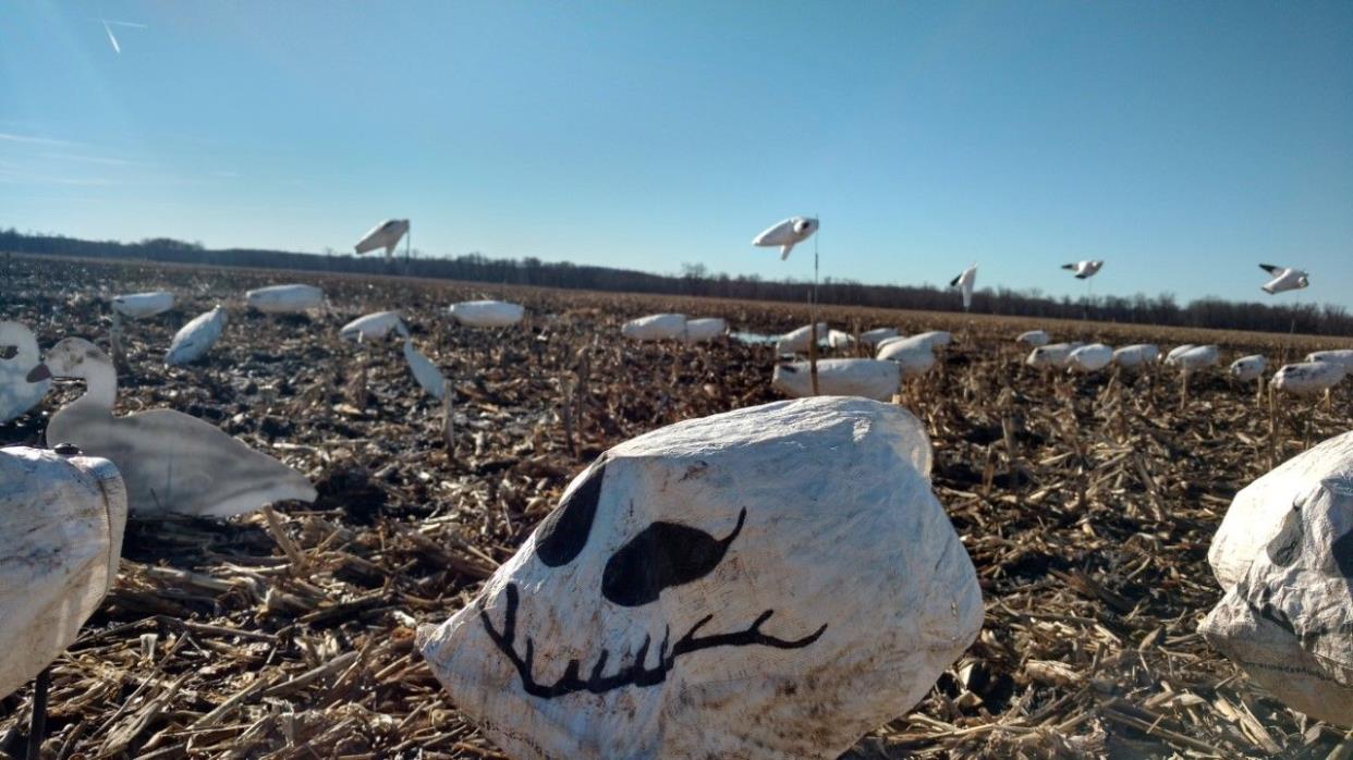 IOWA SPRING SNOW GOOSE HUNTS- JAGERMISTER OUTFITTERS- 2019-2 HUNTER MAX PER DAY