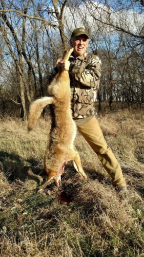 3.5 day  KANSAS COYOTE AND BOBCAT hunting trip meals and lodging included.