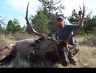 Montana Elk Hunt Bow TAGS FOR 2018 NOT AVAILABLE!  For Hunters With 2018 Tag