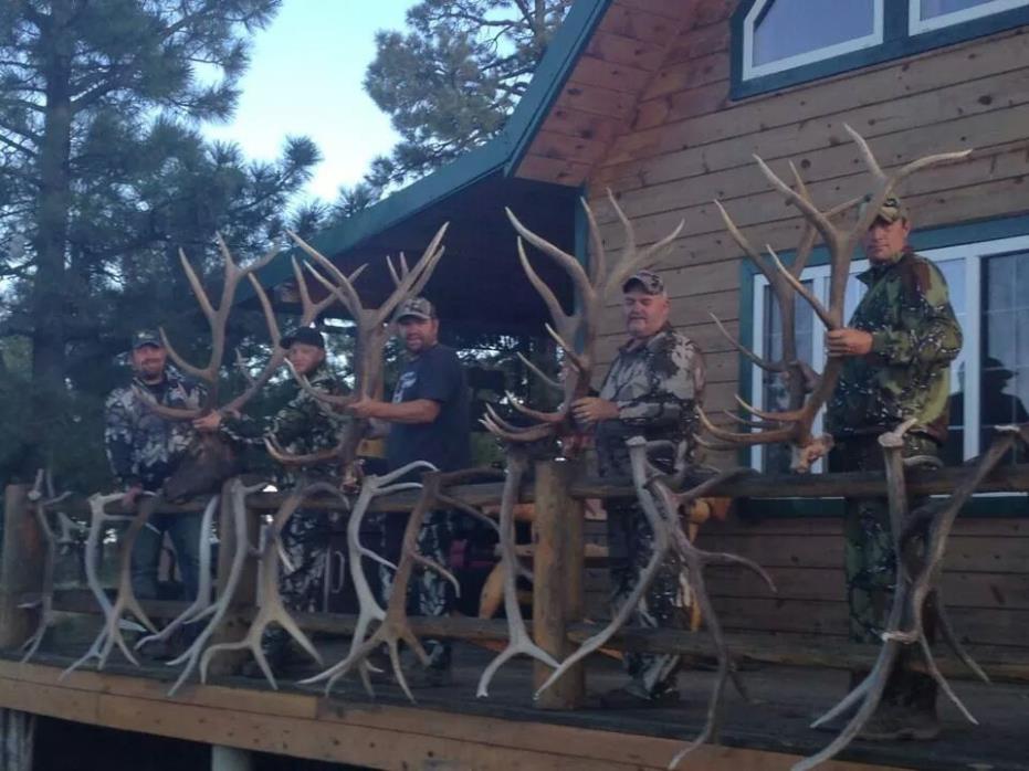 Trophy bull elk / Mule deer hunt in new Mexico