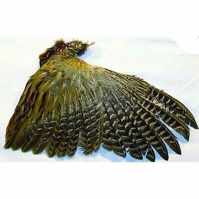 Authentic Pheasant Wing - Full Wings of Real Pheasant Feathers