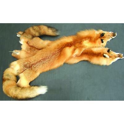 Beautifully Tanned Red Fox Pelt - Authentic Full Body Animal Fur Hide