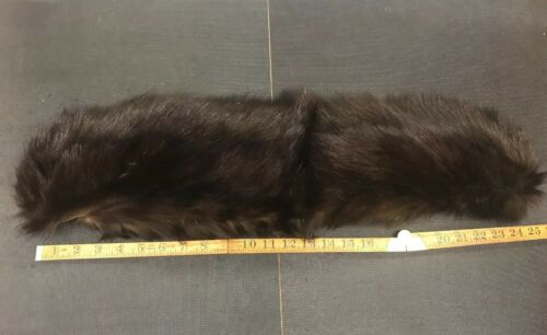 beaver pelt Fur Perfect For That Project Combine Shipping