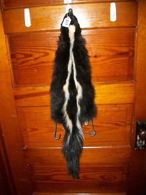 BEAUTIFUL tanned SKUNK 4 FEET CLAWS FUR PELT TAXIDERMY mount NO SMELL S13 cabin