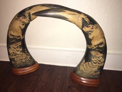 Taxidermy Asian Water Buffalo Horn Mounted Art Decorative Man Cave Bookend Pair