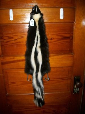 BEAUTIFUL tanned SKUNK 4 FEET CLAWS FUR PELT TAXIDERMY mount NO SMELL S22 CABIN