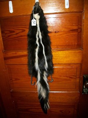 BEAUTIFUL tanned SKUNK 4 FEET CLAWS FUR PELT TAXIDERMY mount NO SMELL S1 cabin