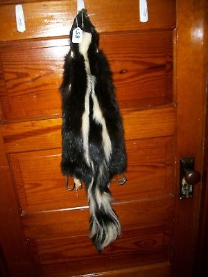 BEAUTIFUL tanned SKUNK 4 FEET CLAWS FUR PELT TAXIDERMY mount NO SMELL S8 cabin