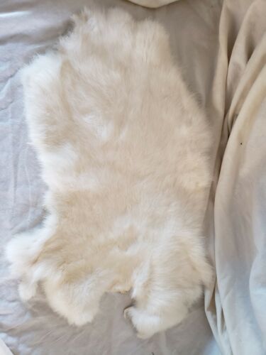 Rabbit Hide Fur Skin Pelt White Authetic