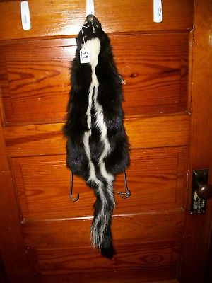 BEAUTIFUL tanned SKUNK 4 FEET CLAWS FUR PELT TAXIDERMY mount NO SMELL S9 cabin