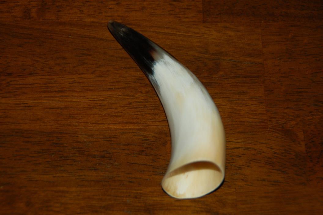 Polished Water Buffalo Horn 6 3/4