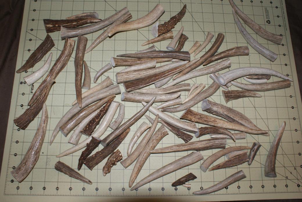 VARIETY OF SIZES - 78 DEER ANTLER TIPS POINTS TINES 1-7