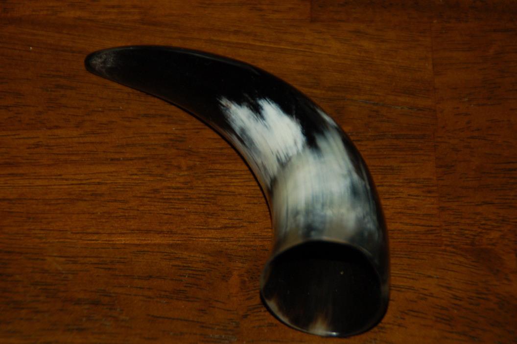 Polished Water Buffalo Horn 6 3/4