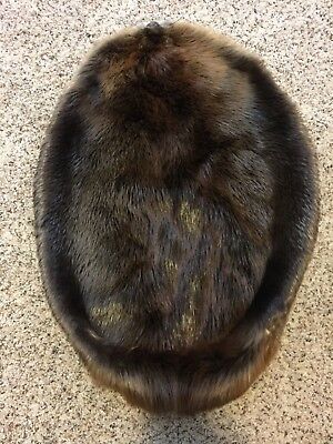 Northern Minnesota Beaver Pelt - Tanned Hide Fur - Extra Large - Free Shipping!