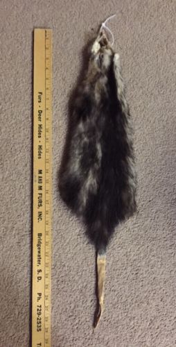 Opossum Pelt With Tail Posusm Tanned