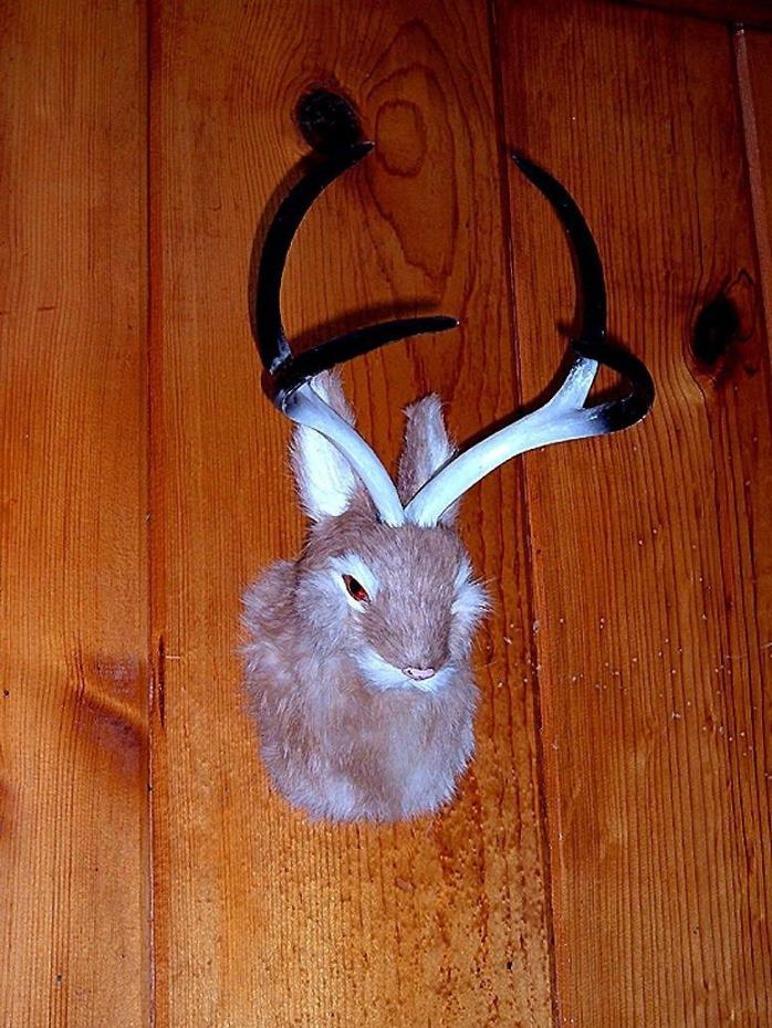 JACKALOPE Head Mount REALISTIC FURRY ANIMAL REPLICA Prop 03t FREE SHIPPING USA