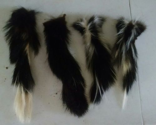 4 Garment Tanned Skunk Tails Crafts Taxidermy