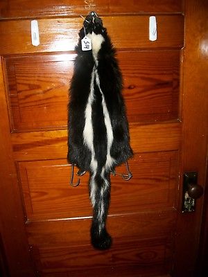 BEAUTIFUL tanned SKUNK 4 FEET CLAWS FUR PELT TAXIDERMY mount NO SMELL S14 CABIN