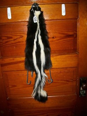 BEAUTIFUL tanned SKUNK 4 FEET CLAWS FUR PELT TAXIDERMY mount NO SMELL S12 CABIN