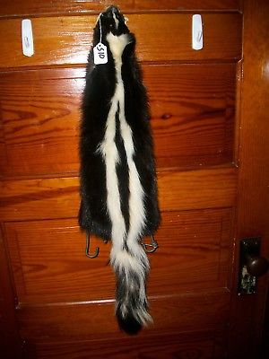 BEAUTIFUL tanned SKUNK 4 FEET CLAWS FUR PELT TAXIDERMY mount NO SMELL S10 CABIN