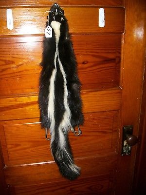BEAUTIFUL tanned SKUNK 4 FEET CLAWS FUR PELT TAXIDERMY mount NO SMELL S7 CABIN