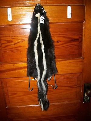 BEAUTIFUL tanned SKUNK 4 FEET CLAWS FUR PELT TAXIDERMY mount NO SMELL S6 CABIN